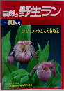 自然と野生ラン　1994年10月号　