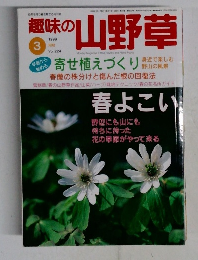 趣味の山野草　1999年3月号