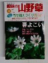 趣味の山野草　1999年3月号