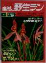 自然と野生ラン　1996年1月号