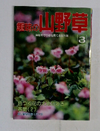 趣味の山野草　1991年3月号