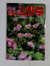 趣味の山野草　1991年3月号