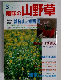 趣味の山野草　2001年3月号　