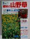 趣味の山野草　2001年3月号　