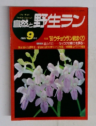 自然と野生ラン  1991 9