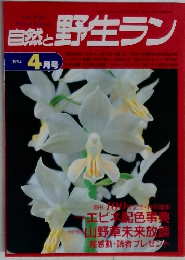 自然と野生ラン　1994年4月号