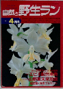 自然と野生ラン　1994年4月号