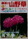 趣味の山野草　1999年5月号　Vol.226