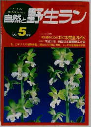 自然と野生ラン　1991年5月号