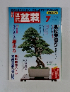 近代盆栽　１９９９年7月号