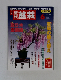 近代盆栽　１９９９年６月号