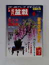 近代盆栽　１９９９年６月号
