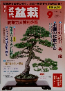 盆栽　１９９９年９月号
