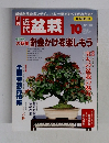 近代盆栽　1999年10月号