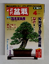 盆栽　１９９９年４月号
