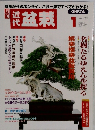 盆栽　１９９９年１月号