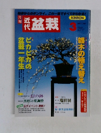 近代盆栽　１９９９年3月号