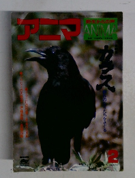 アニマ　2月号
