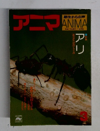 アニマ　3月号