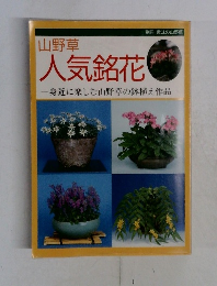 山野草  人気銘花  身近に楽しむ山野草の鉢植え作品