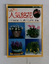 山野草  人気銘花  身近に楽しむ山野草の鉢植え作品