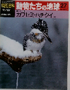 朝日百科動物たちの地球27　カワセミ・ハチクイ
