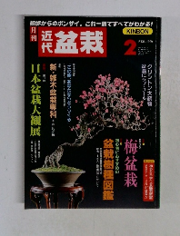 近代盆栽　1999年2月号