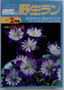 自然と野生ラン　１９９５年２月号