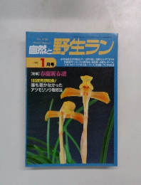 自然と野生ラン　１９９５年１月号