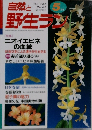自然と野生ラン　5月号