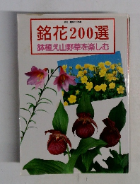 銘花 200選  鉢植え山野草を楽しむ