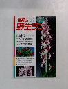 自然と野生ラン　7月号