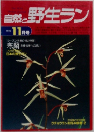 自然と野生ラン　1994年11月号