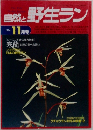 自然と野生ラン　1994年11月号