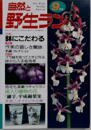 自然と野生ラン　９月号