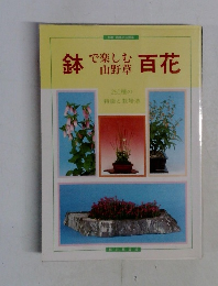 鉢で楽しむ山野草百花