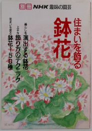 NHK趣味の園芸　住まいを飾る鉢花