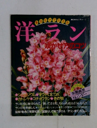 洋ラン　咲かせ方のコツ