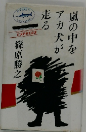 嵐の中をアカ犬が走る