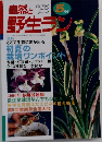 自然と野生ラン　5月号
