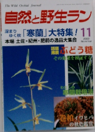 自然と野生ラン　2002年11月号
