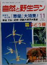 自然と野生ラン　2002年11月号