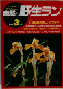 自然と野生ラン　1991年3月号