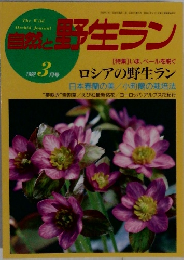 自然と野生ラン　1992年3月