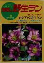 自然と野生ラン　1992年3月