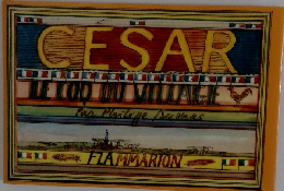 Cesar le coq du village 