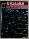 朝日百科　動物たちの地球 93