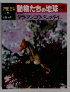 朝日百科 動物たちの地球 89