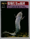 動物たちの地球　86
