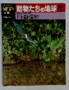 朝日百科　動物たちの地球 117